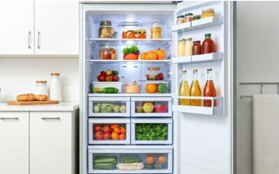 Organize Your Fridge: Post-Holiday Refrigerator Essentials